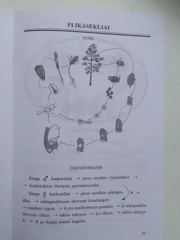 Ląstelinė organizmų sandara ir dauginimasis - Kazys Gražys, knyga 6
