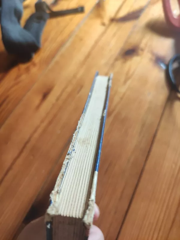 Paklydėliai - Tomas Valentinas, knyga 3