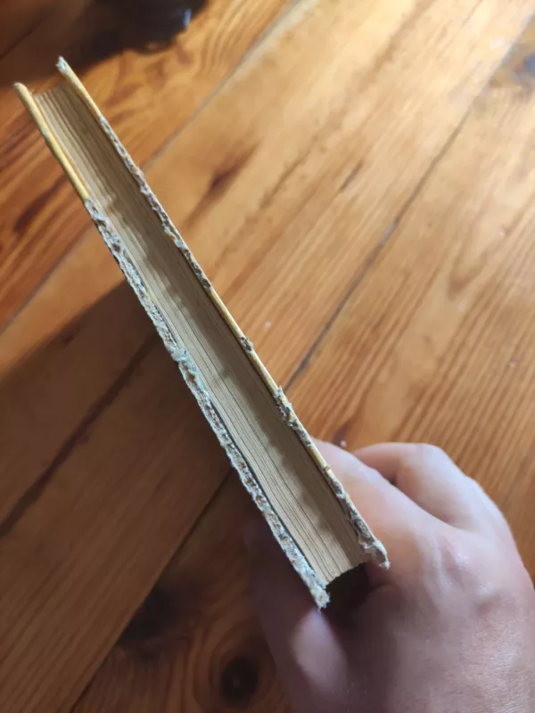 Tik publikai. Kru Abatė - Miurielė Spark, knyga 4