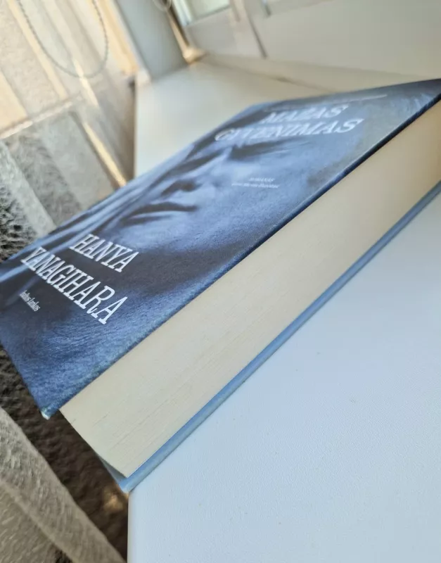 Mažas gyvenimas - Hanya Yanagihara, knyga 3