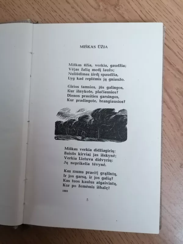 Pavasario balsai -  Maironis, knyga 4