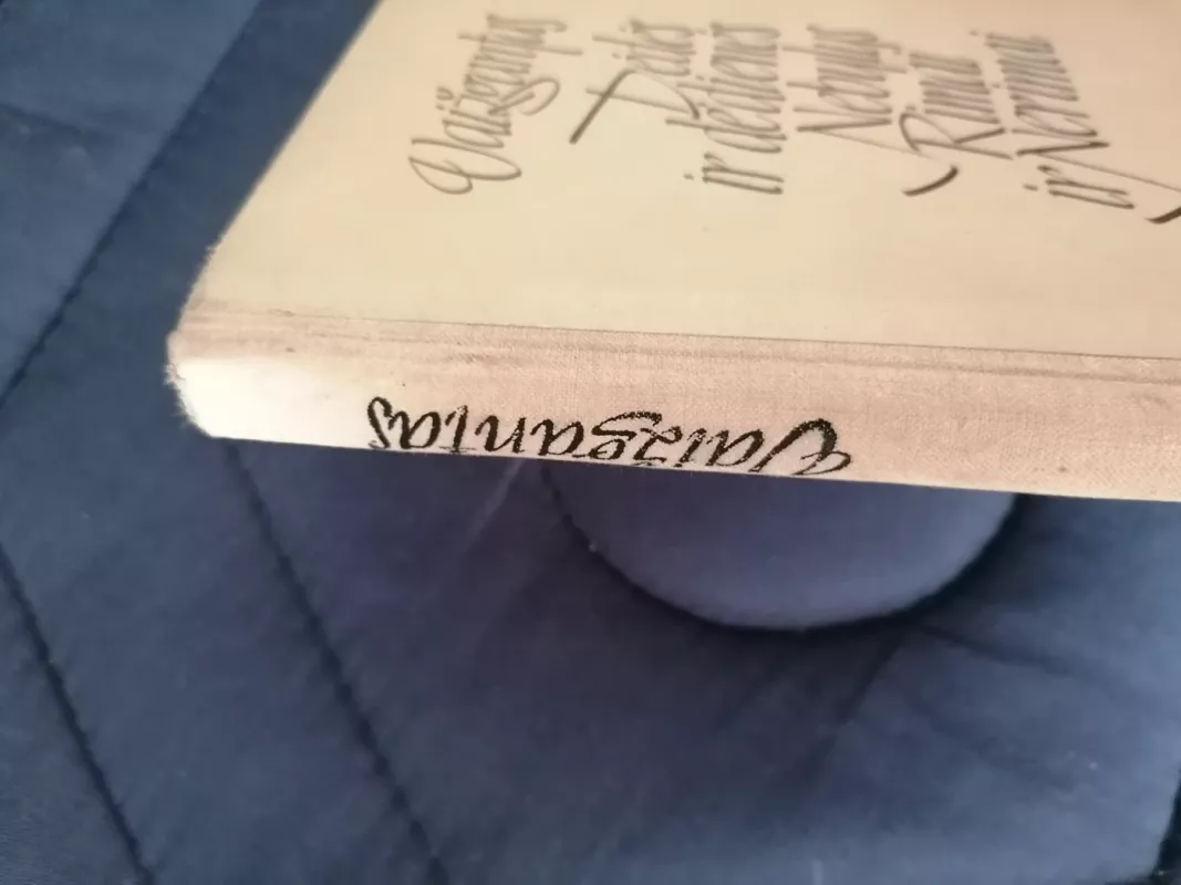 Dėdės ir dėdienės. Nebylys. Rimai ir Nerimai - Autorių Kolektyvas, knyga 6