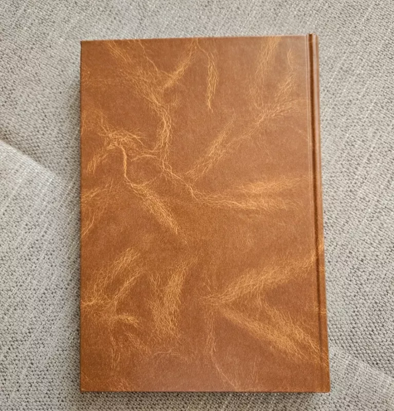 Lietuvos archeologijos istorija iki 1945 - P. Kulikauskas, G. Zabiela, knyga 6