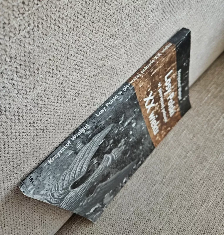 Losy Polski w pierwszej połowie XX wieku - K. Wielgut, knyga 4