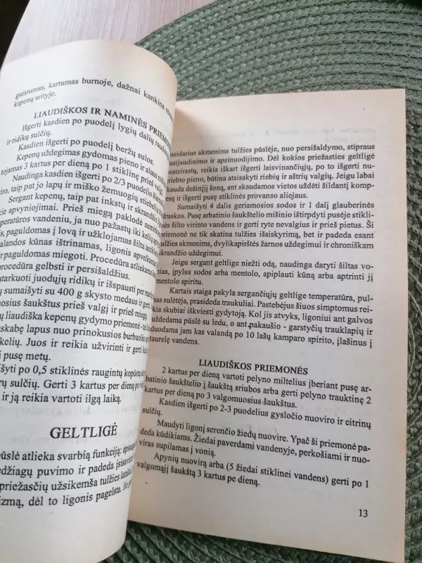 Žiniuonių patarimai - R. Puslienė, knyga 6