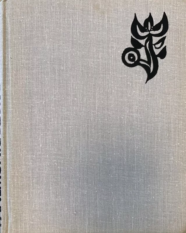 Panemunių dzūkai - Autorių Kolektyvas, knyga 4