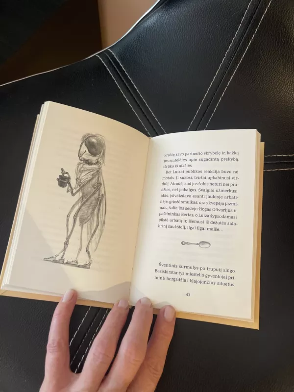 Musė Luiza - Raimondas Nabus J., knyga 2