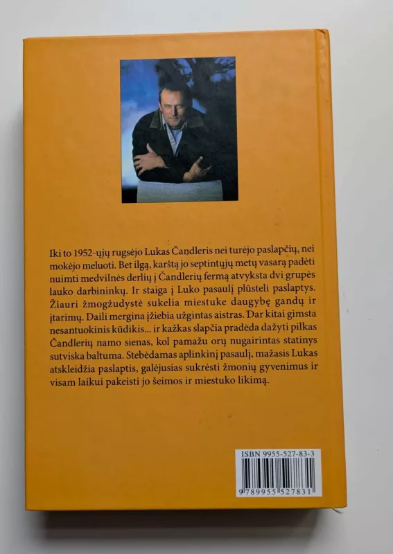 Dažytas namas - John Grisham, knyga 4