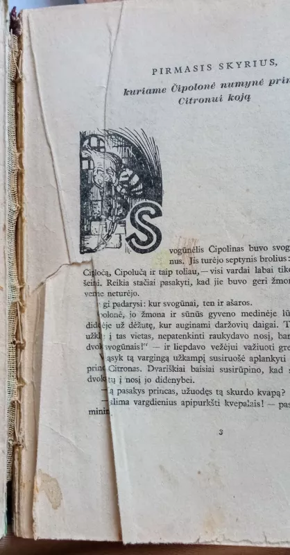 Čipolino nuotykiai - Džanis Rodaris, knyga 5