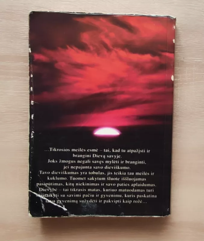 Sai Baba kalba Vakarams - Stephan von Stepski-Doliwa, knyga 4