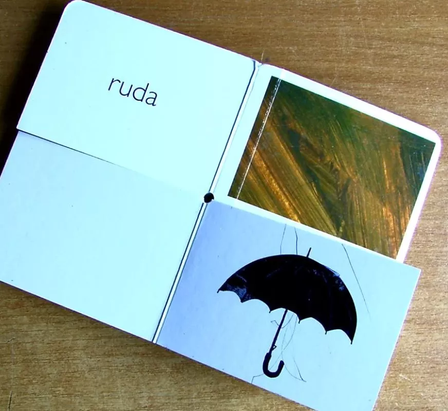 Mano pirmoji spalvų knygelė - Knygų klubas, knyga 3