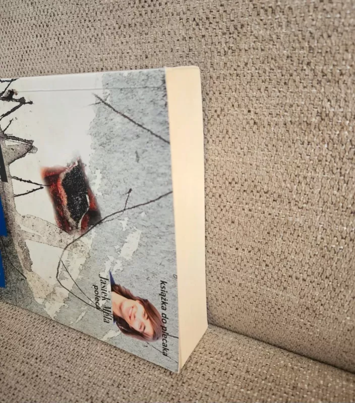 Skarb w Srebnym jeziorze - Karol May, knyga 5