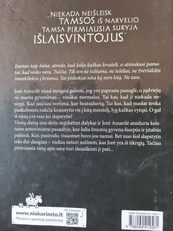 Tamsa kuri prabudo - Neringa Vaitkutė, knyga 3