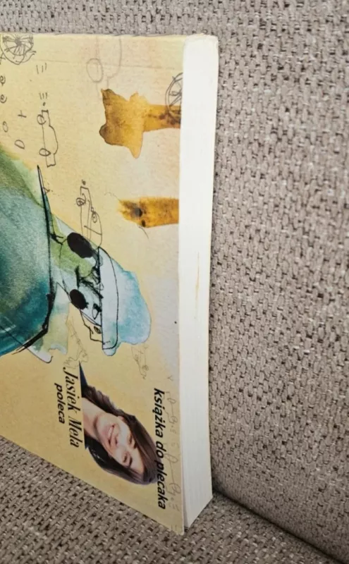 Chłopak na opak - Hanna Ożogowska, knyga 5