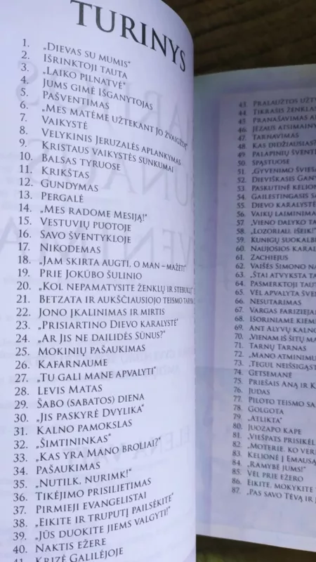 MARIJOS SŪNAUS GYVENIMAS - Elena Vait, knyga 4