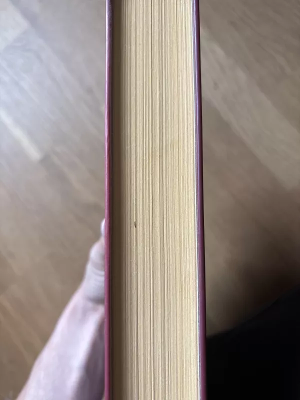 Vandens metodas - Džonas Irvingas, knyga 2