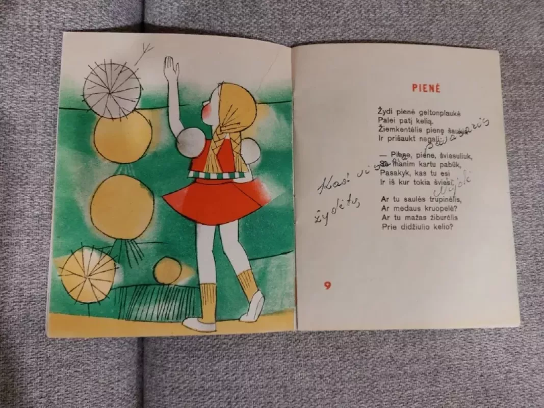 Rugelis dainuoja - Janina Degutytė, knyga 6