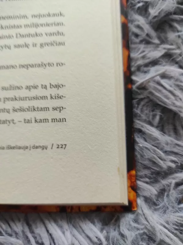 Vytauto vergo įdagas. Rudnia iškeliauja į dangų - Romas Gudaitis, knyga 5