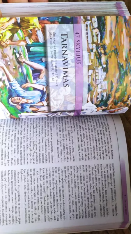 MARIJOS SŪNAUS GYVENIMAS - Elena Vait, knyga 6