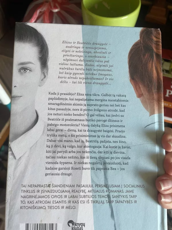 Viena draugyste - Silvia Avallone, knyga 3