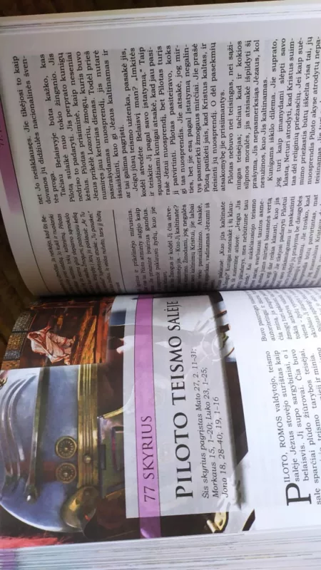 MARIJOS SŪNAUS GYVENIMAS - Elena Vait, knyga 5