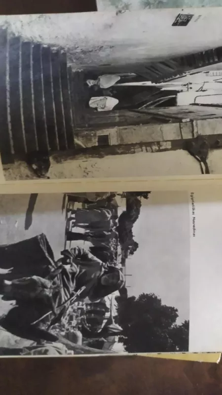 Juodasis kraujas - Albertas Laurinčiukas, knyga 6