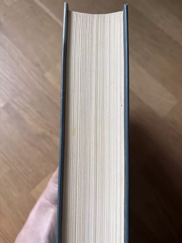 Malda už Oveną Minį - John Irving, knyga 2