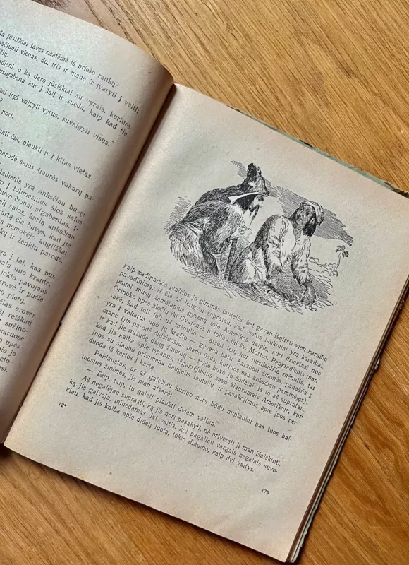 Robinzonas Kruzas - Danielius Defo, knyga 5