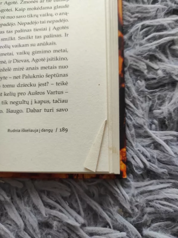 Vytauto vergo įdagas. Rudnia iškeliauja į dangų - Romas Gudaitis, knyga 4