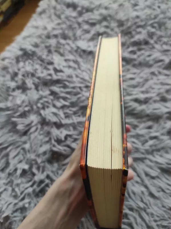 Vytauto vergo įdagas. Rudnia iškeliauja į dangų - Romas Gudaitis, knyga 3