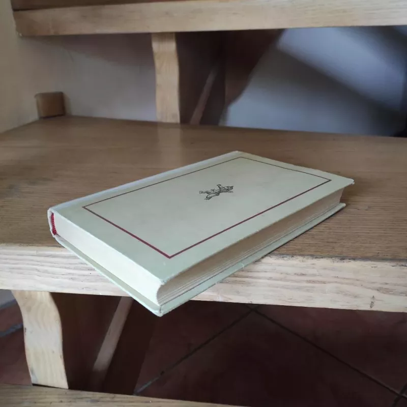 Moterų laimė - Emilis Zola, knyga 5