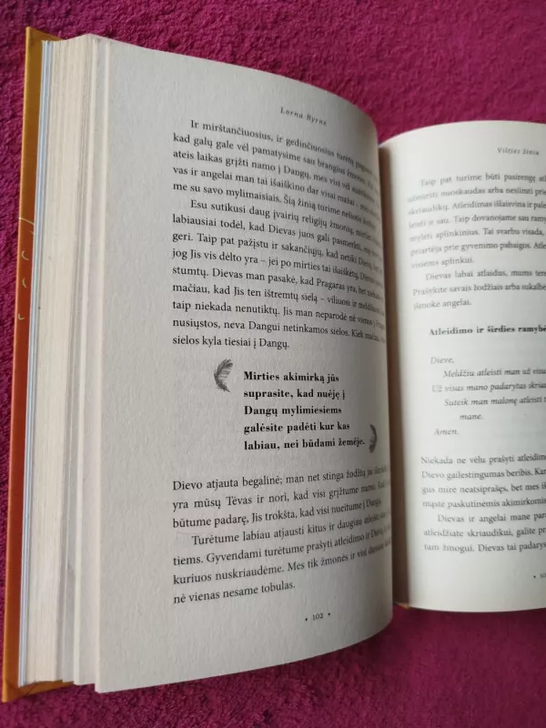 Vilties žinia - Lorna Byrne, knyga 4