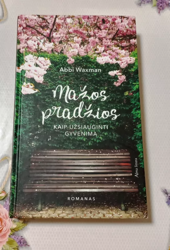 Mažos pradžios - Abbi Waxman, knyga 2