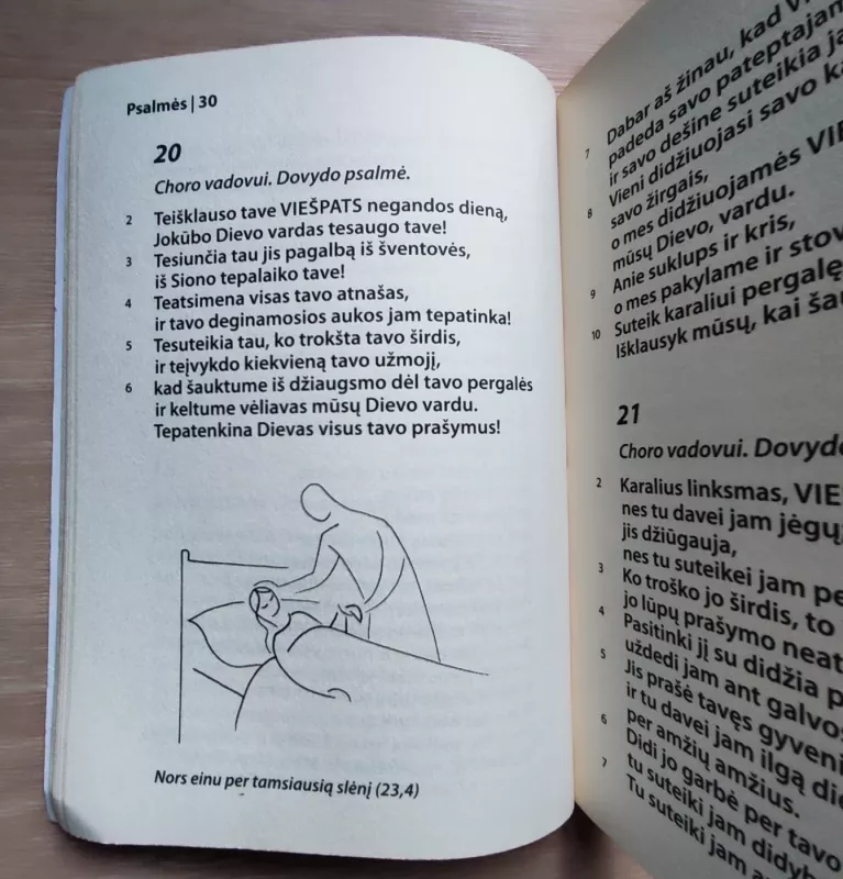 Psalmės - Antanas Rubšys, knyga 3