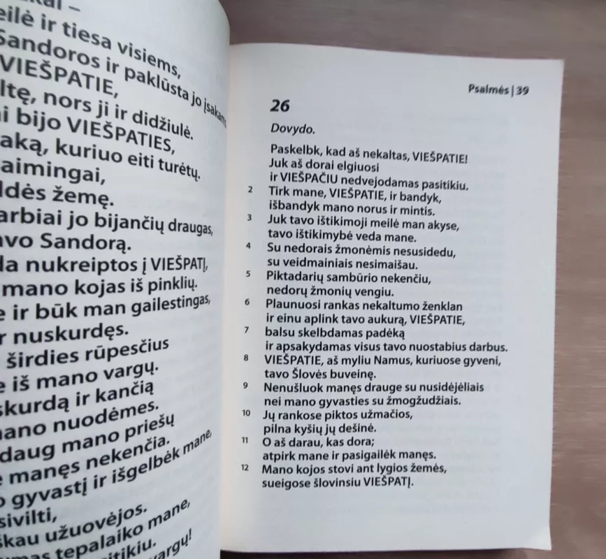 Psalmės - Antanas Rubšys, knyga 4