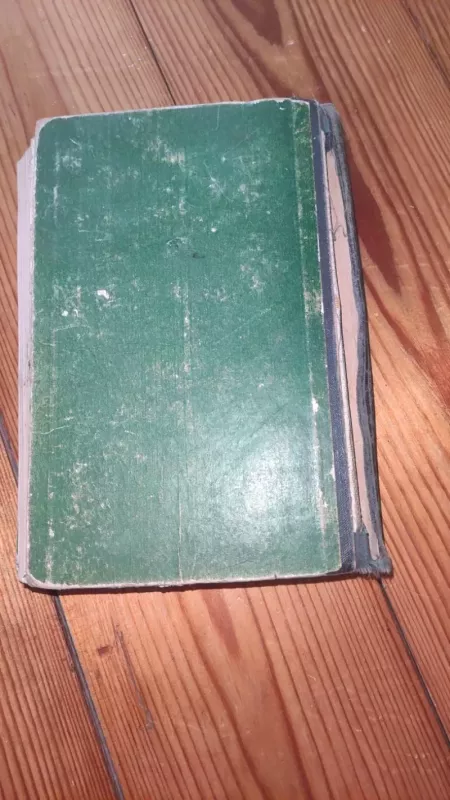 Aukso žmogus - Moras Jokajus, knyga 6