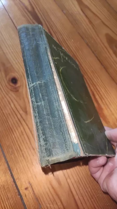 Aukso žmogus - Moras Jokajus, knyga 3