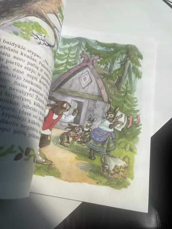 Lapė karalienė - Petras Cvirka, knyga 5