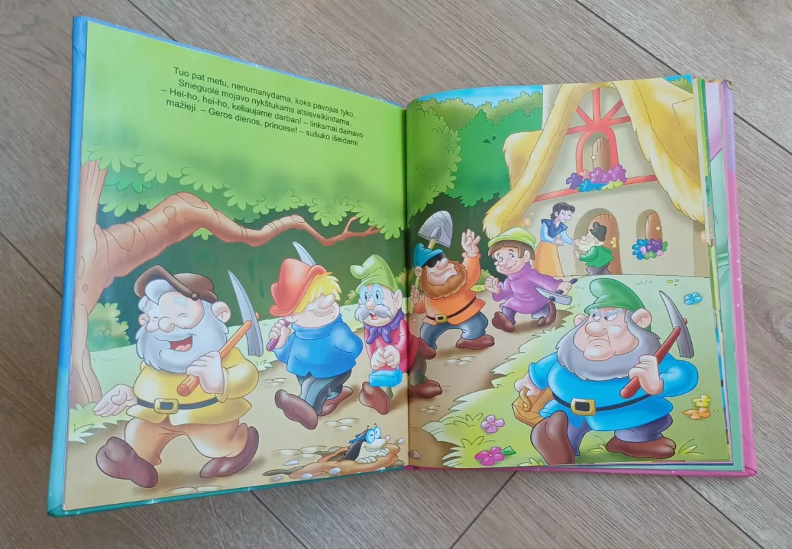 Karalaitės Pelenė Karalaitės Snieguolė - Autorius Nežinonamas, Autorių Kolektyvas, knyga 2