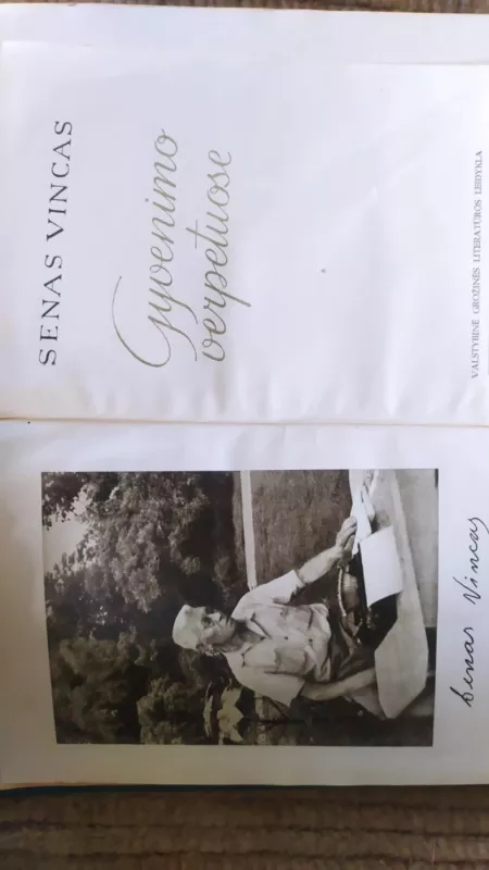 Gyvenimo verpetuose - Vincas Senas, knyga 2