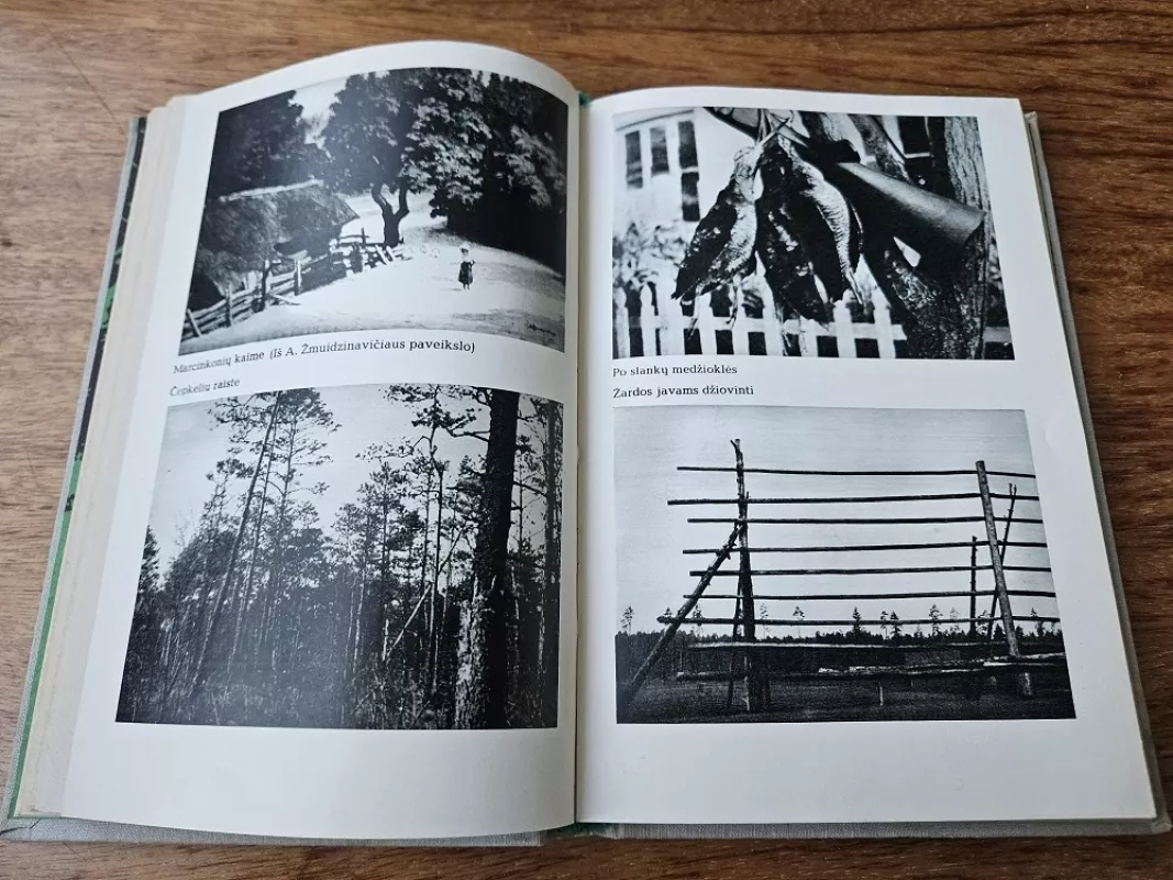 Gamtininko užrašai - Tadas Ivanauskas, knyga 4