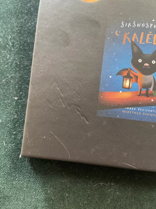 Avelė nenori miego - Indrė Pavilonytė, Martynas Pavilonis, knyga 2