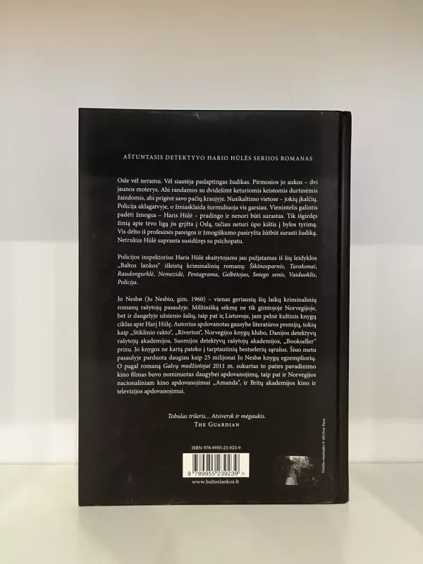 Šarvuota širdis - Jo Nesbo, knyga 3