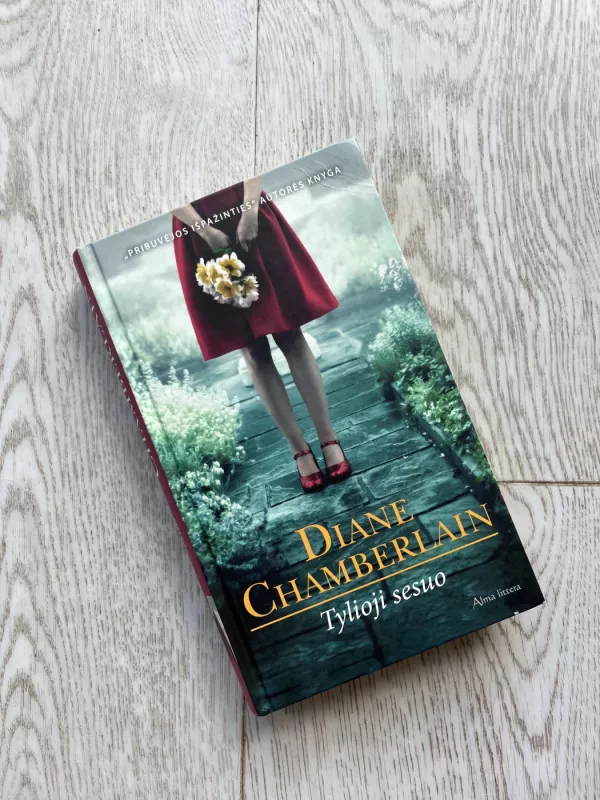 Tylioji sesuo - Diane Chamberlain, knyga 2