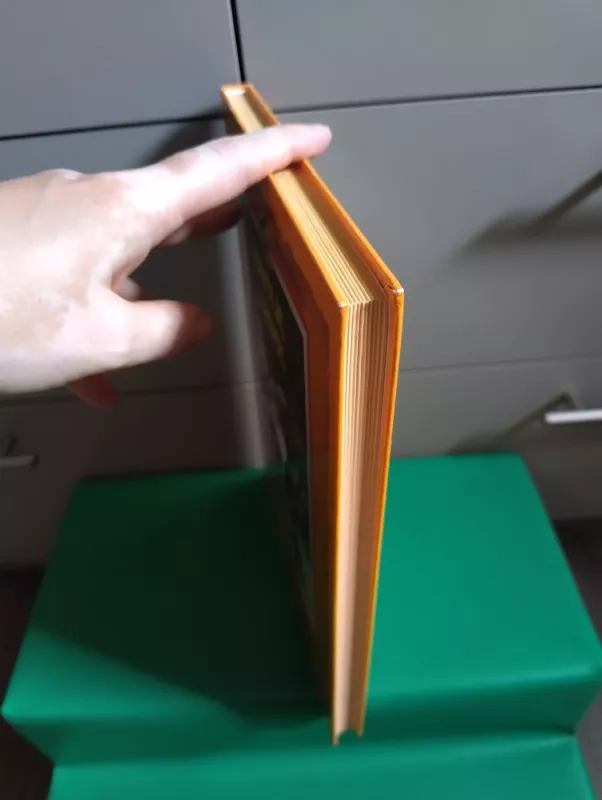 Brolių Grimų pasakos -  Broliai Grimai, knyga 6