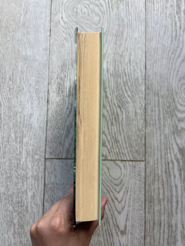 Tylioji sesuo - Diane Chamberlain, knyga 4