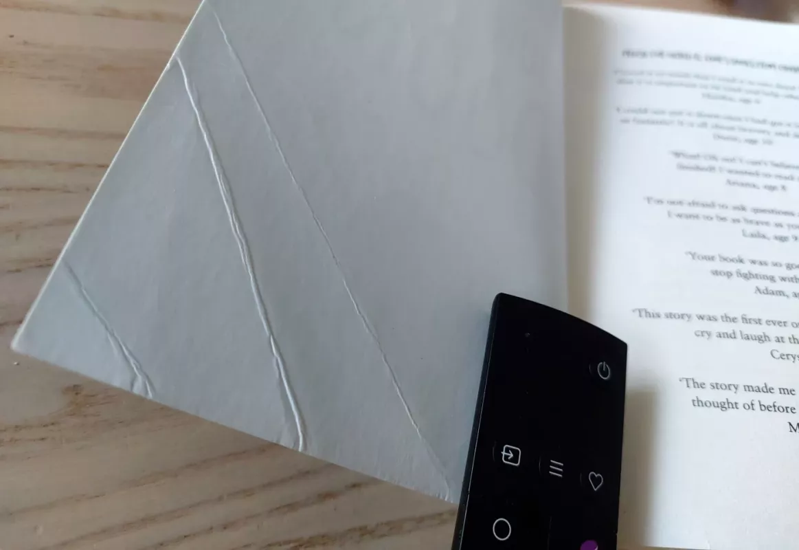 The Lion Above the Door - Onjali Q. Raúf, knyga 3