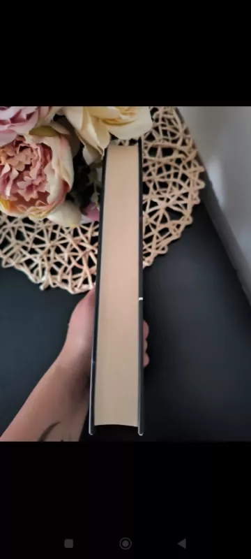 Paskutinė Ponia Periš - Liv Constantine, knyga 3