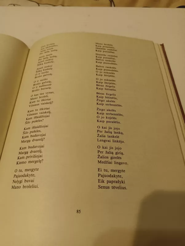 Vilnius lietuvių liaudies dainose - Gražina Krivickienė-Gustaitytė, knyga 3