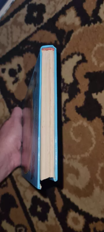 Pirato meilė - Johanna Lindsey, knyga 4